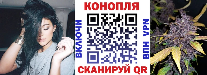 Alpha PVP Приморск