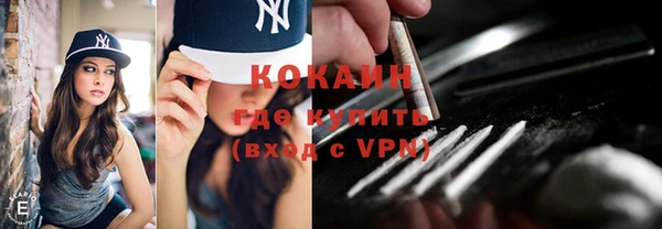 ешки Няндома