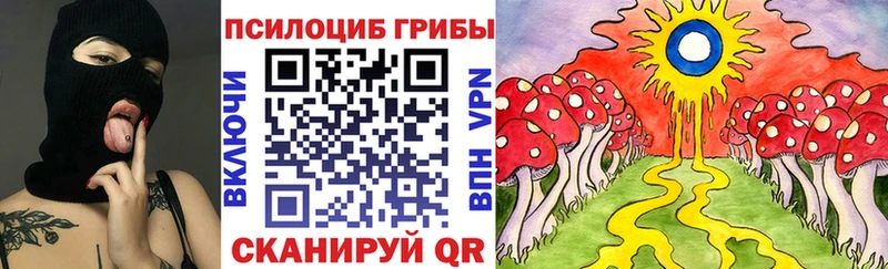 цена наркотик  hydra   Галлюциногенные грибы мицелий  Приморск 