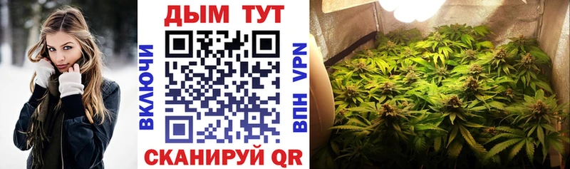 продажа наркотиков  Приморск  Конопля OG Kush 
